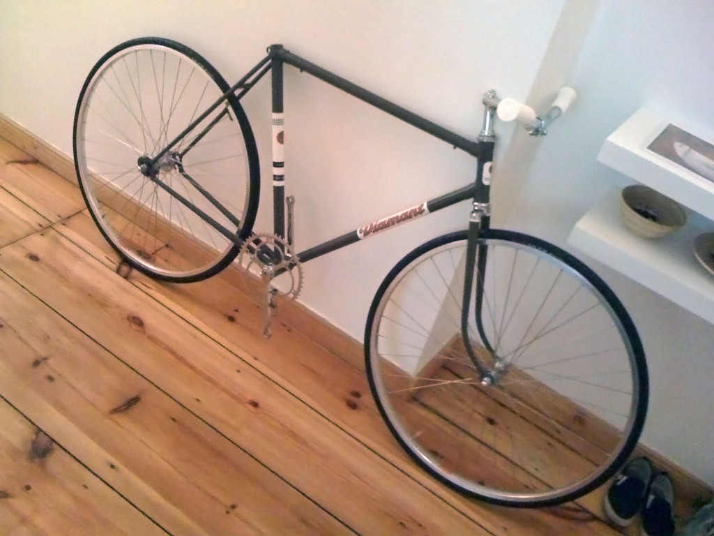 Singlespeed oder rennrad
