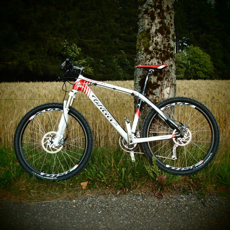 wilier solitario mtb